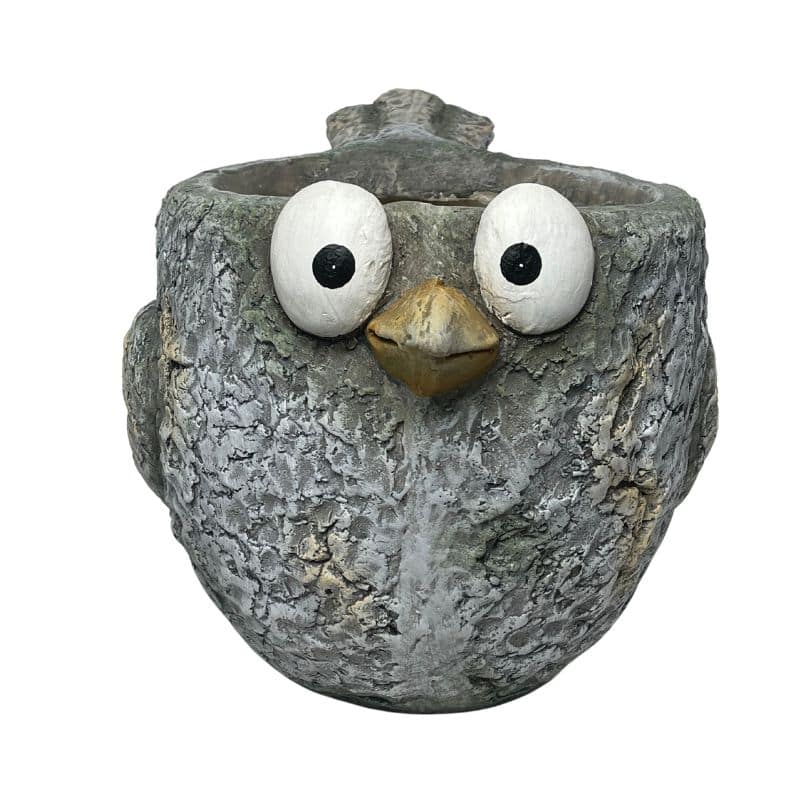 Curious Bird Planter W  Hole & Plug 41x24cm