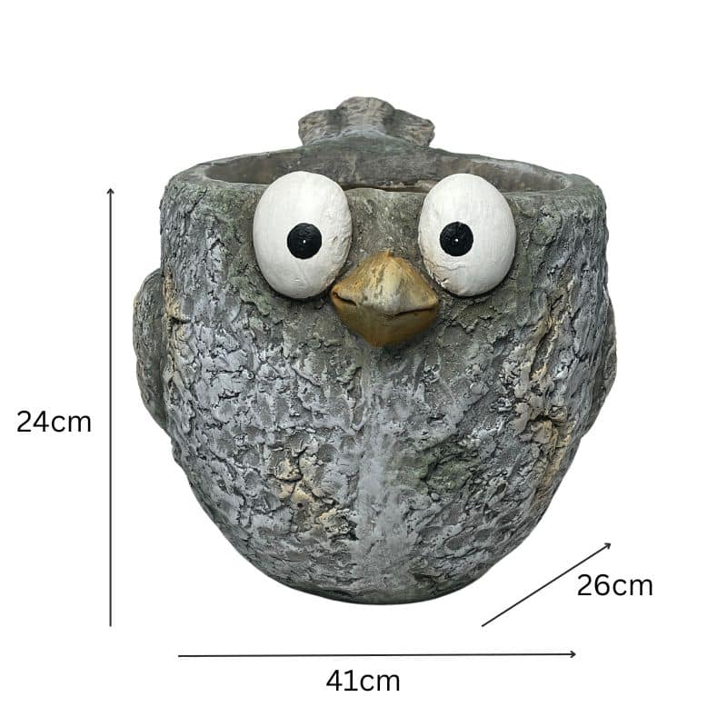 Curious Bird Planter W  Hole & Plug 41x24cm