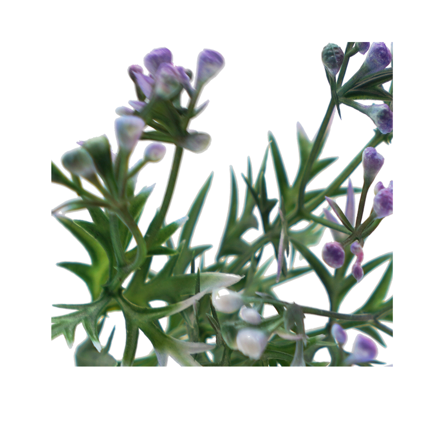 Faux Wormwood Flower Stem