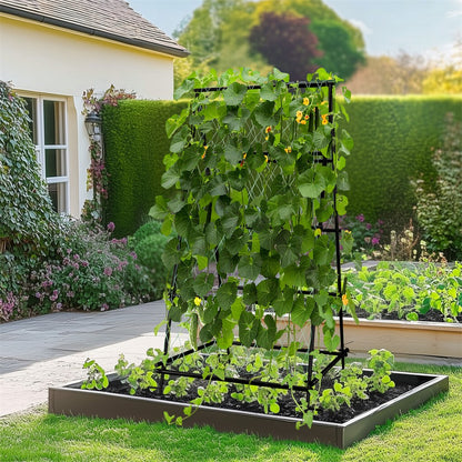 FIN Metal Garden Trellis Arch Climbing Plants Grow Support Frame with Ground Spikes