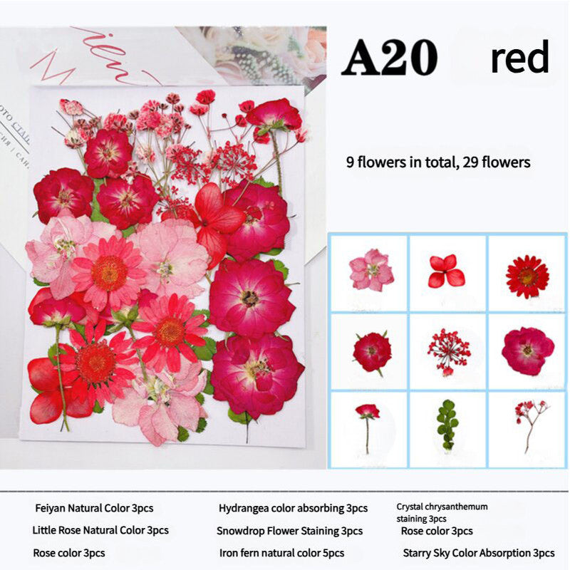 Pressed Dried Flower Craft Kit - Mixed Color Floral Collection for DIY Projects(A20 Red)