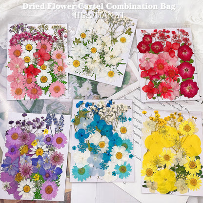 Pressed Dried Flower Craft Kit - Mixed Color Floral Collection for DIY Projects(A20 Red)