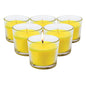 Garden Greens 24PCE Citronella Scented Glass Candle Pots 120g